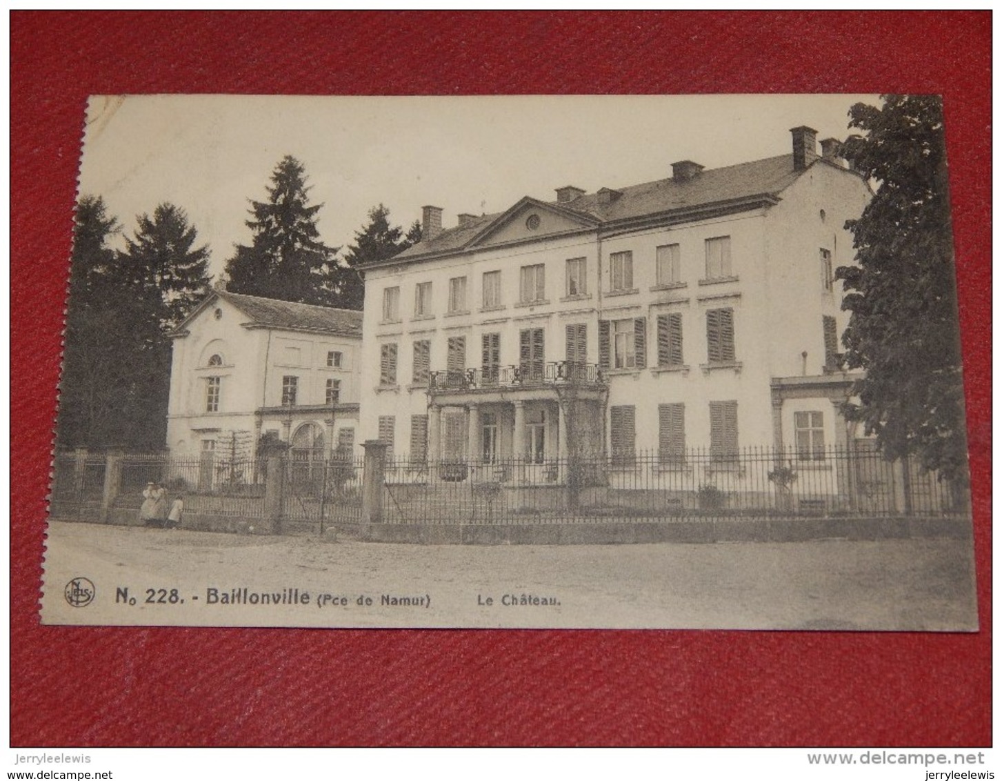 BAILLONVILLE  -  SOMME-LEUZE  -  Le Château     -  1920   - - Somme-Leuze