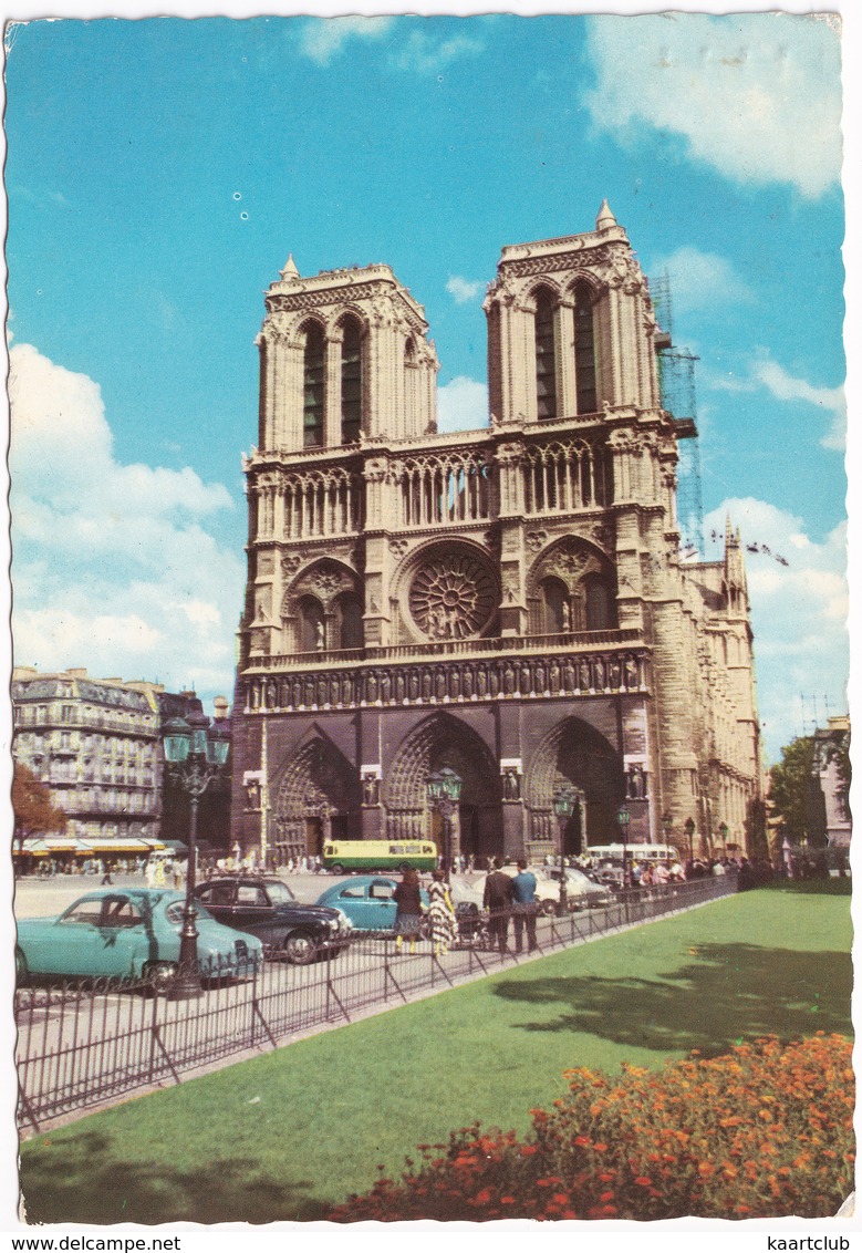 Paris: RENAULT FRÉGATE, AUSTIN A40 SOMERSET, VW 1200 KÄFER/COX, AUTOBUS - Cathédrale Notre-Dame - Turismo