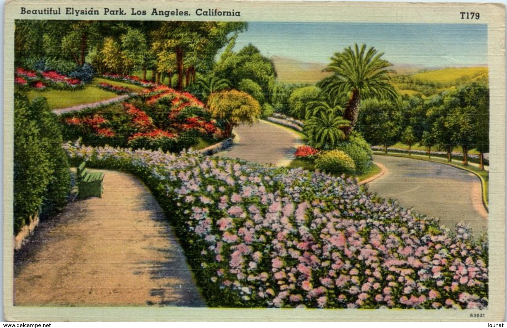 Beautiful Elysian Park . Los Angeles. California - Los Angeles