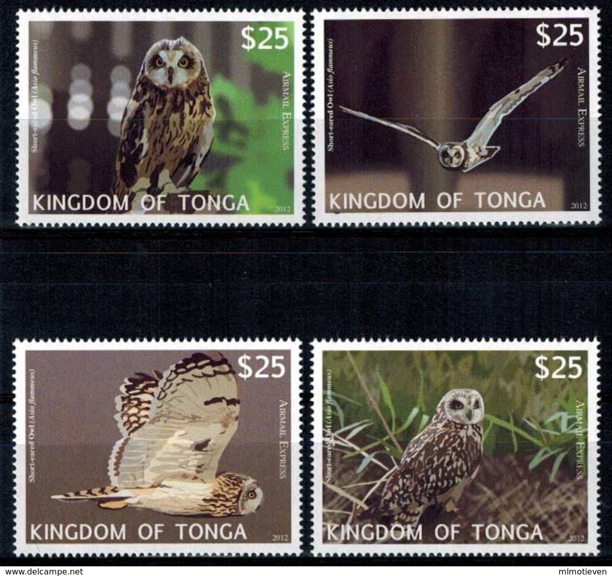 MDB-BK10-082 PF/MNH ¤ TONGA 4w In Serie (RARE) ¤ BIRDS OF THE WORLD HIBOUX OWLS  OISEAUX AVES VOGELS VÖGEL - Uilen