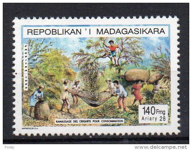 MADAGASCAR - 1995 - INSECTES - INSECTS - RAMASSAGE DES CRIQUETS POUR LA CONSOMMATION - 1995 - - Madagascar (1960-...)