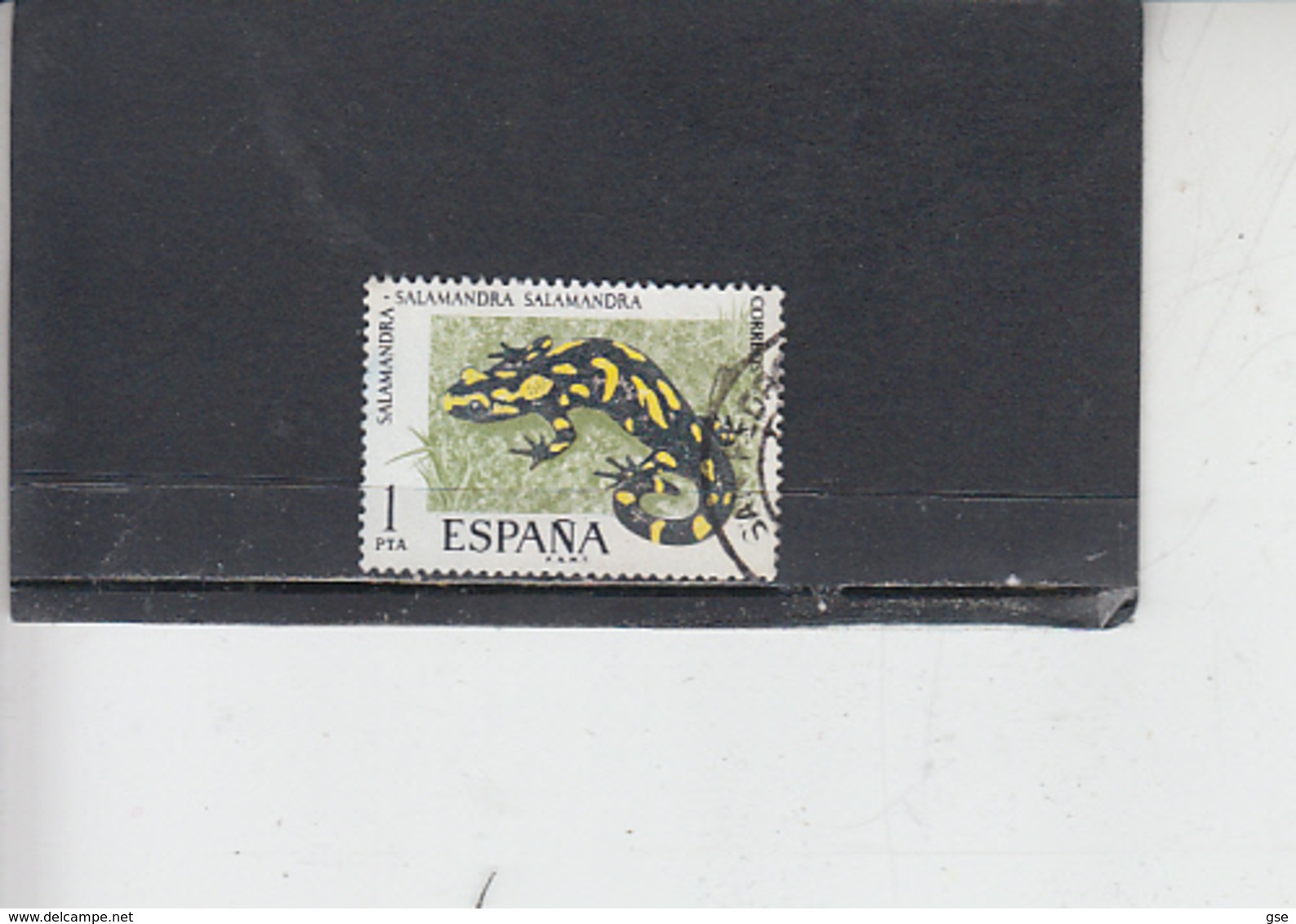 SPAGNA  1975 - Unificato  1916 - Fauna - Salamandra - Usati