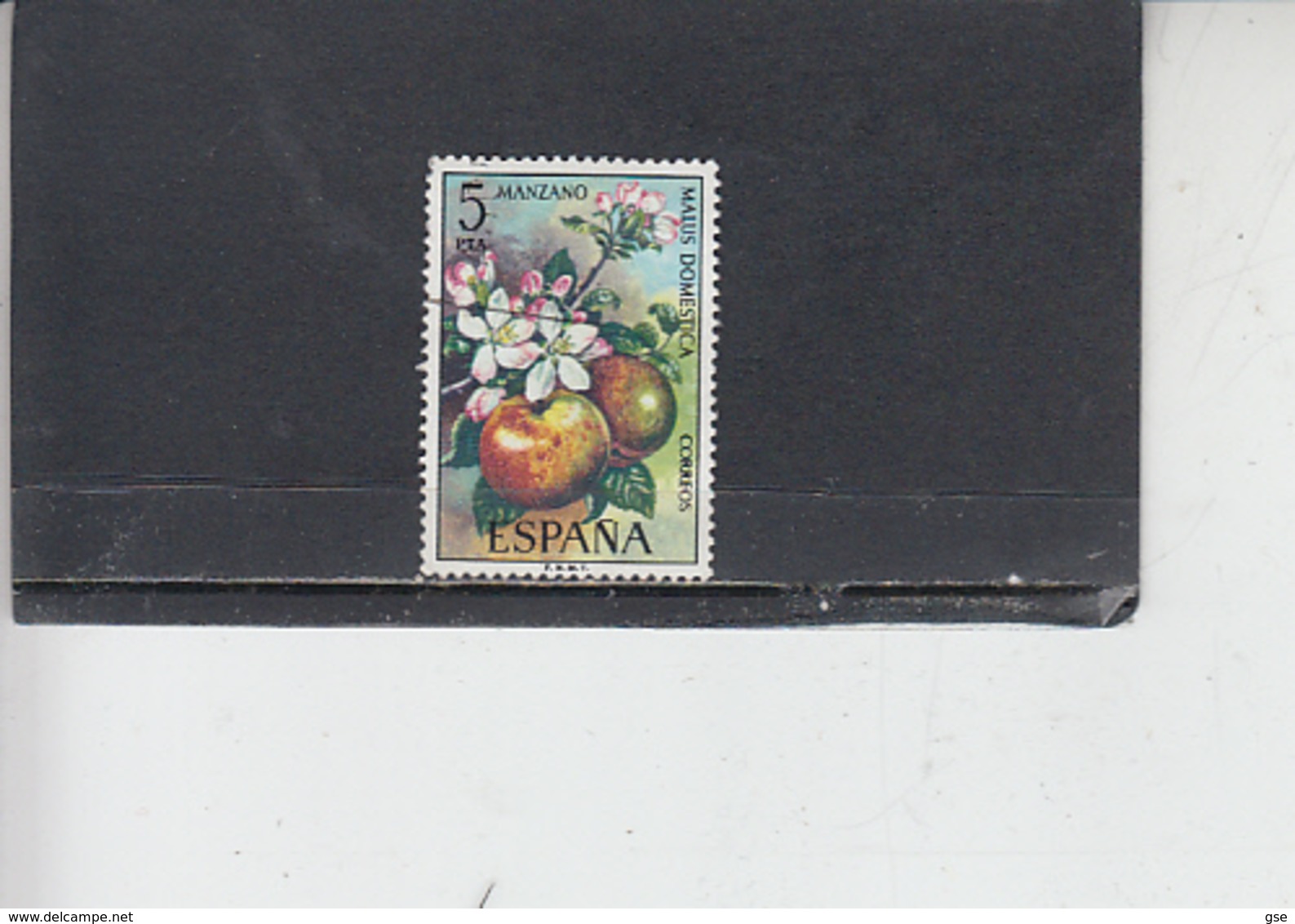 SPAGNA  1975 - Unificato  1902 - Flora - Fiori - Frutta - Usati