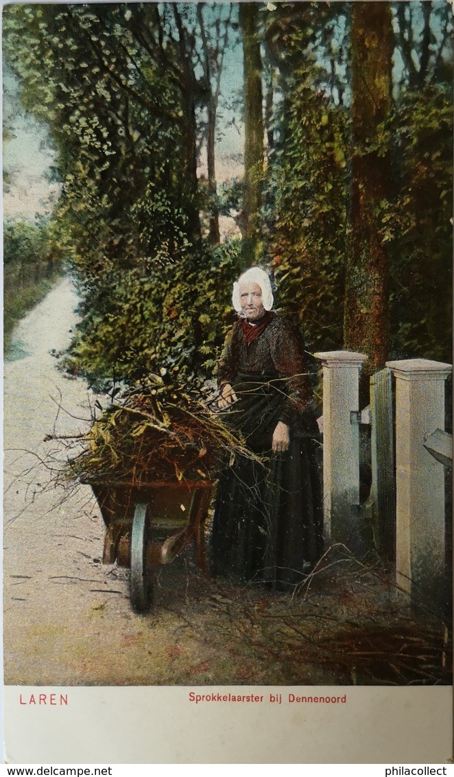 Laren (NH) Sprokkelaarster Bij Dennenoord Ca1900 - Laren (NH)