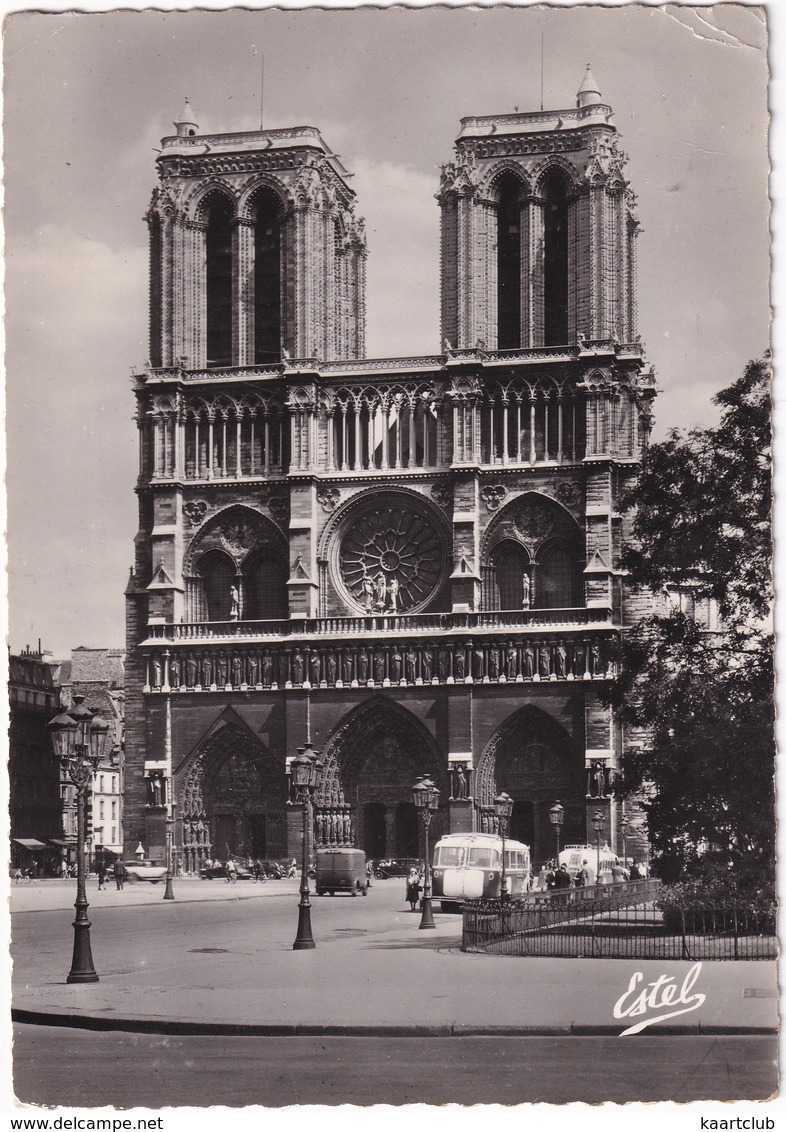 Paris: 2x  OLDTIMER  AUTOCAR/AUTOBUS, CAMIONETTE, VOITURES  - Notre-Dame De Paris - (1957) - Toerisme