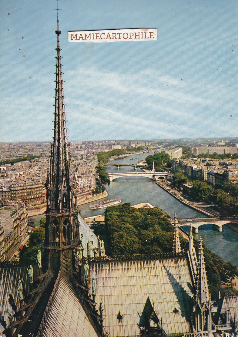 PARIS  - La Flèche De Notre-Dame - - Notre Dame De Paris