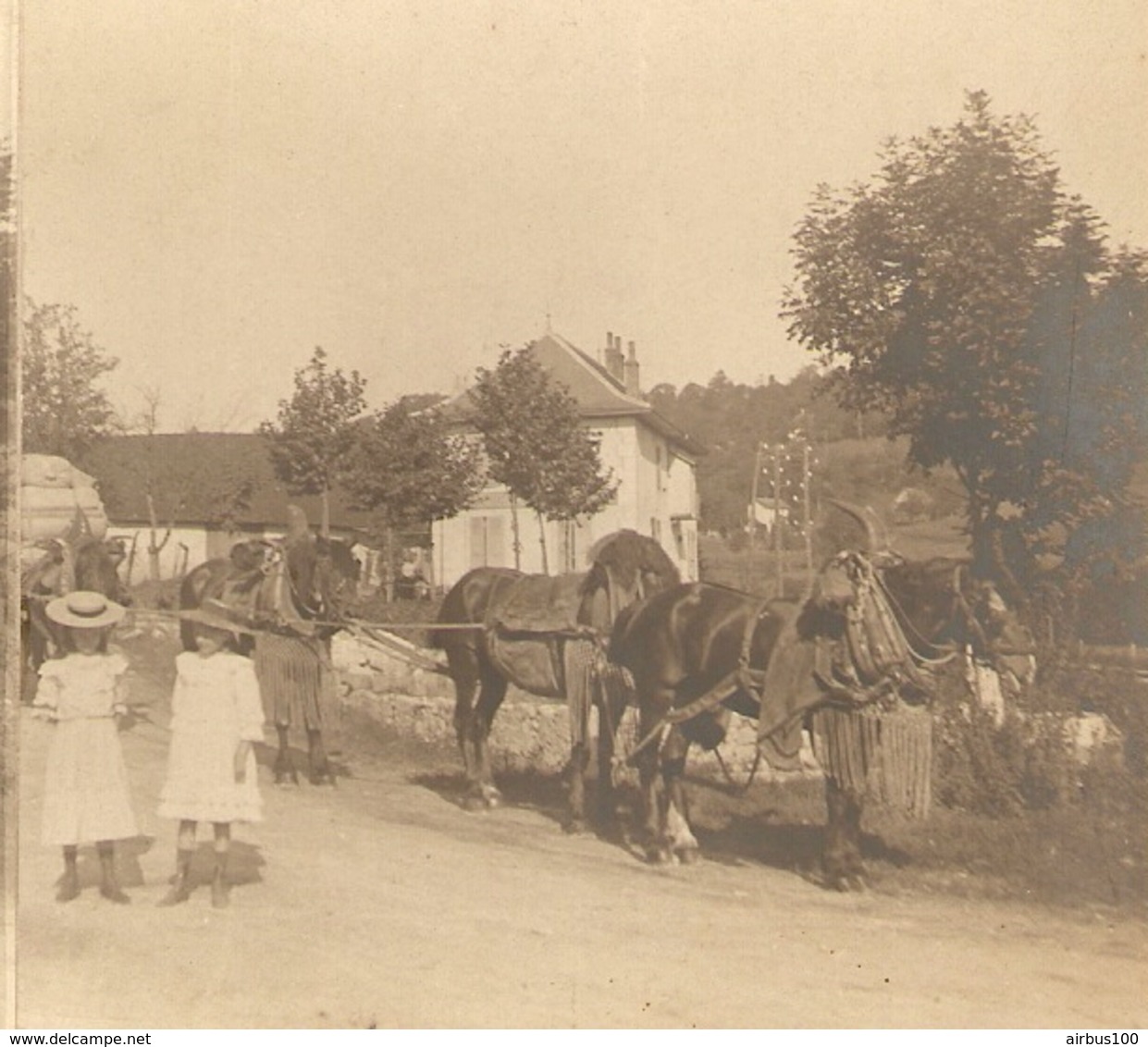 PHOTO STEREO - CAMPAGNE TRIPLE ATTELAGE DE CHEVAUX CALECHE - PETITES FILLES - Photos Stéréoscopiques