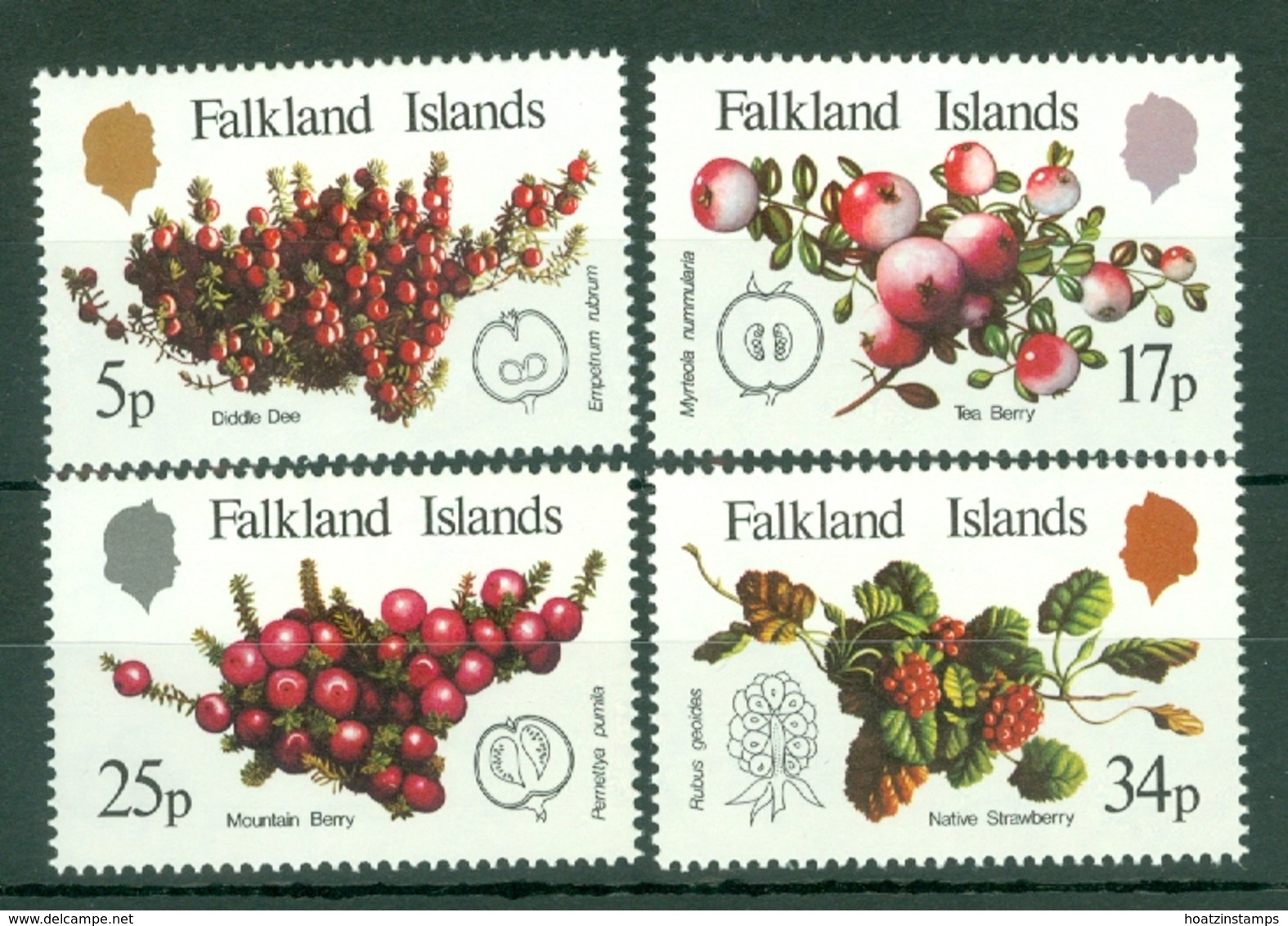Falkland Is: 1983   Native Fruits   MH - Falkland Islands