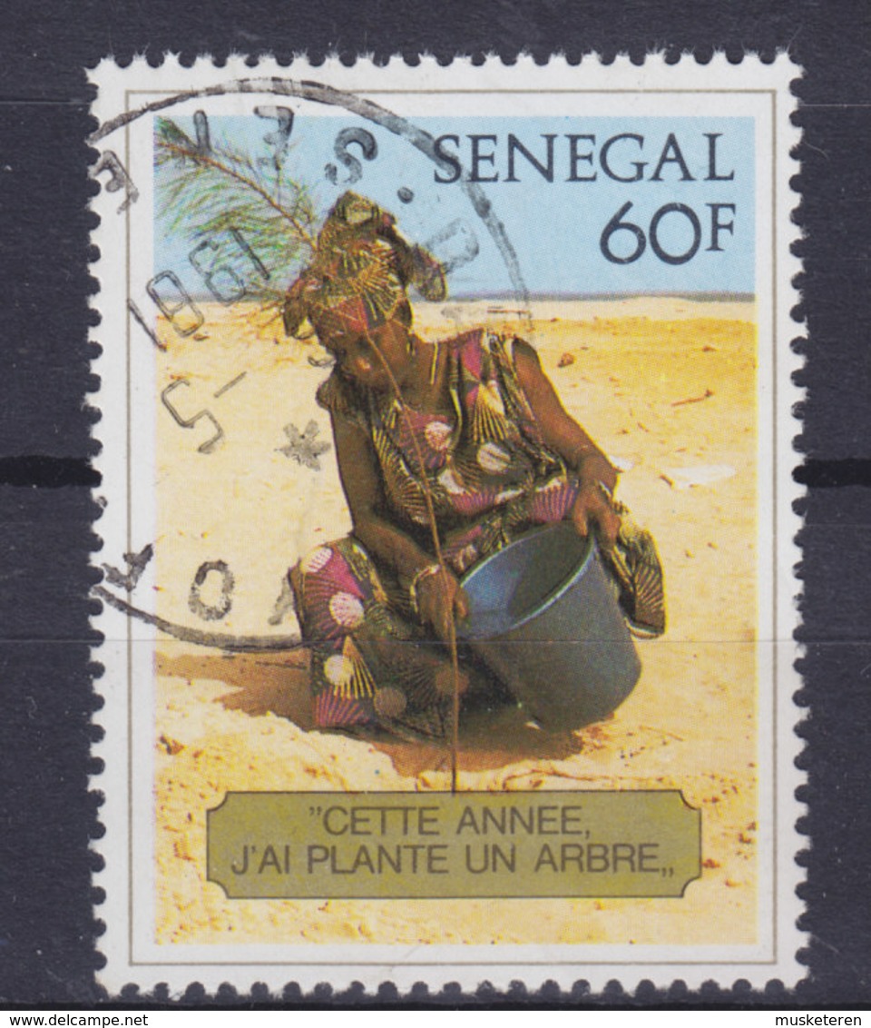 Senegal 1980 Mi. 726     60 Fr Auffforstung Frau Pflanzt Einen Baum Woman Plants A Tree - Senegal (1960-...)