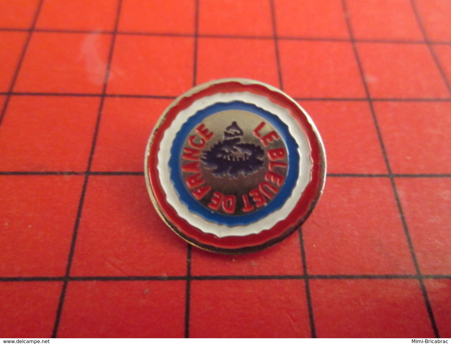 718c Pin's Pins / Beau Et Rare / THEME : ASSOCIATIONS : LE BLEUET DE FRANCE - Vereinswesen