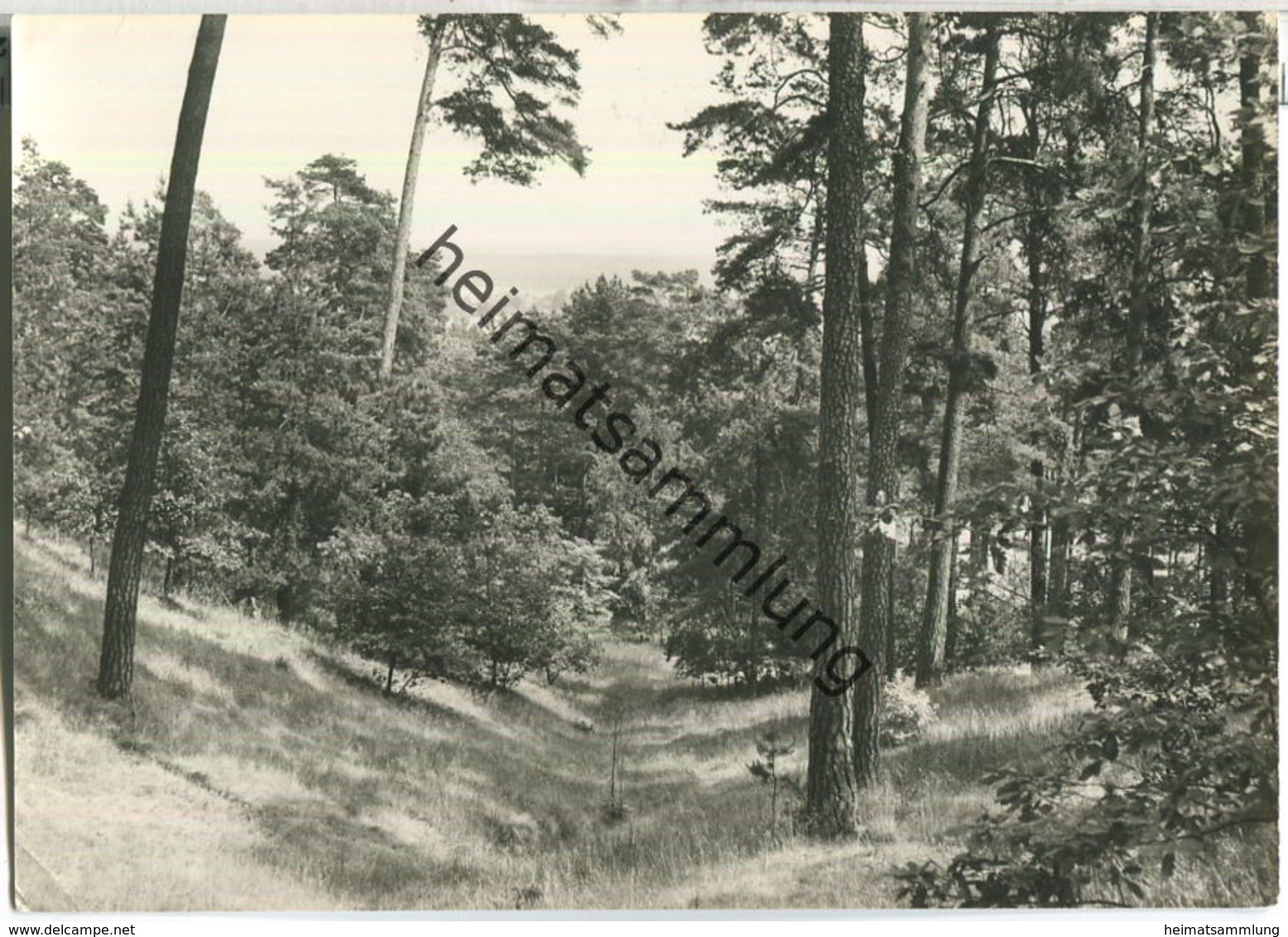 Berlin-Müggelheim - Müggelberge - Verlag H. Sander Berlin - Koepenick