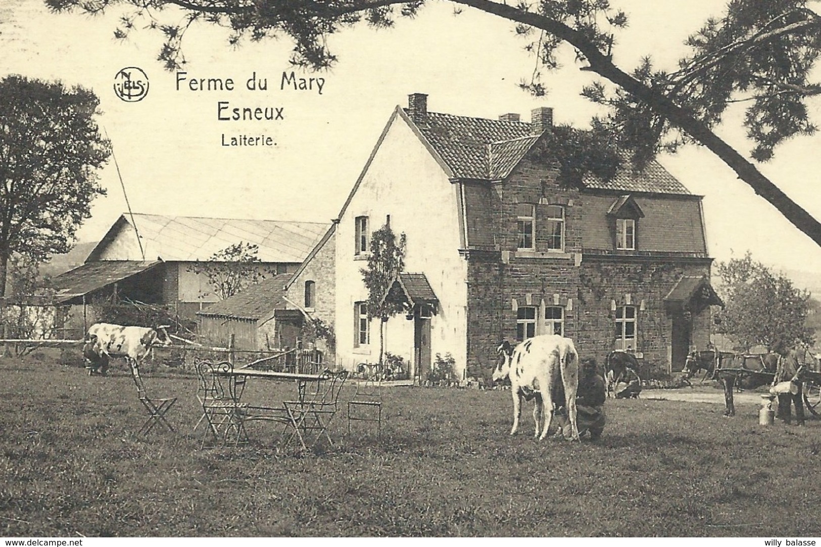 +++ CPA - ESNEUX - Ferme Du Mary - Laiterie - Attelage - Nels    // - Esneux