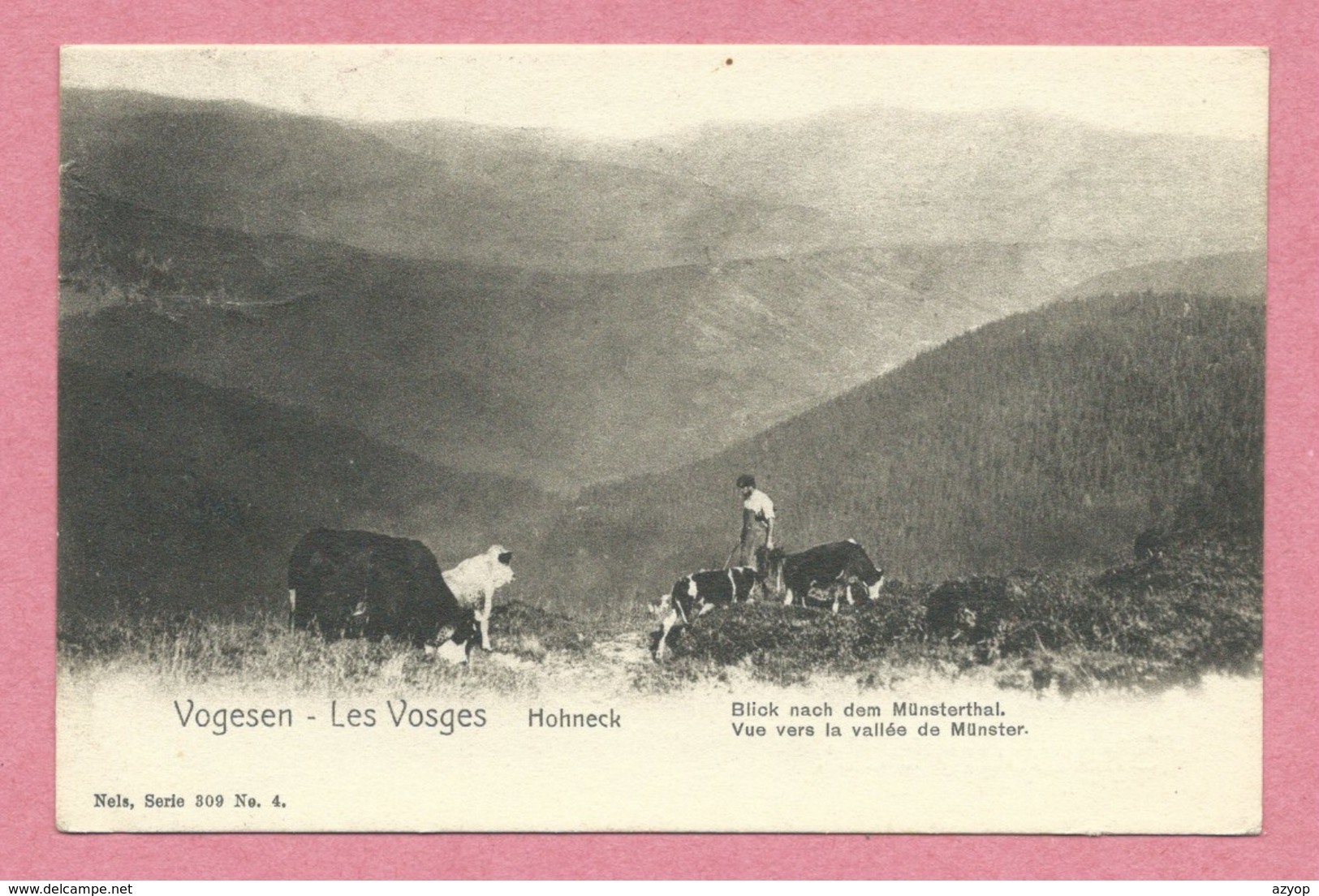 68 - Hautes Vosges - Vogesen - HOHNECK - Nels, Série 309 N° 4 - Marcaire - Vaches - Vue Vers La Vallée De Munster - Other & Unclassified