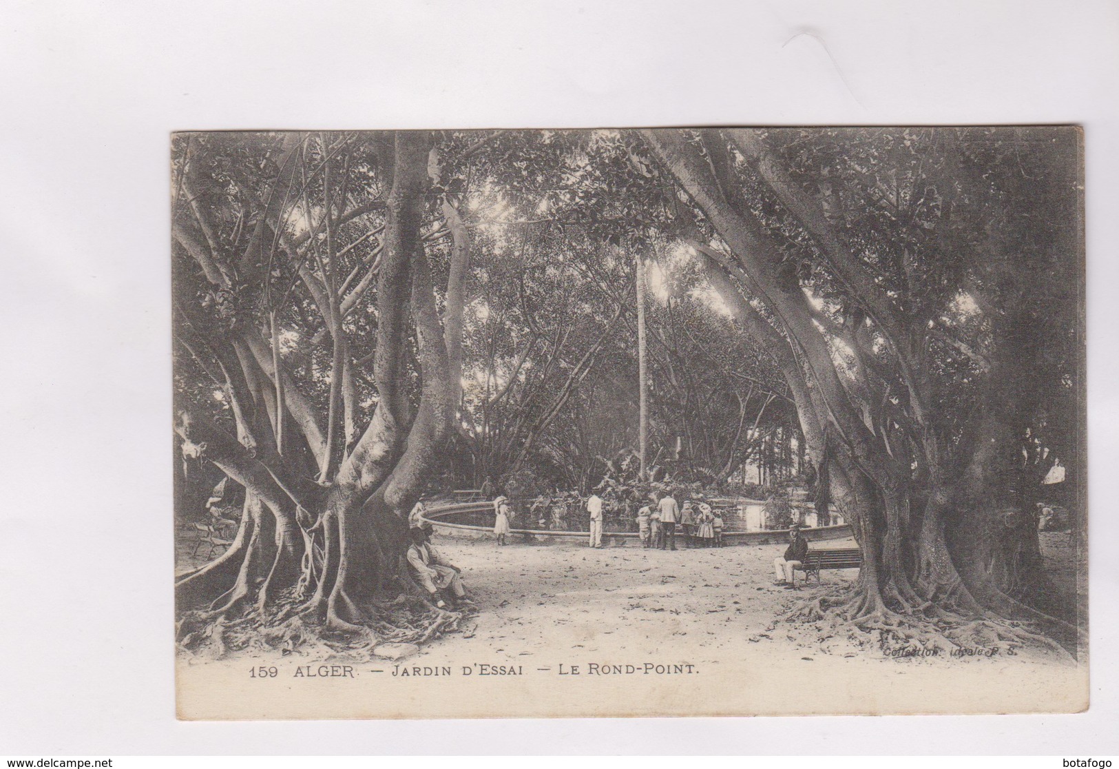 CPA  ALGER, JARDIN D ESSAI, LE ROND POINT - Alger