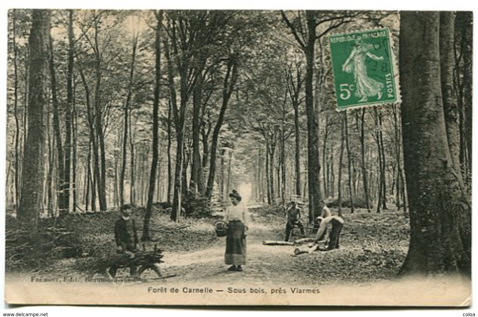 Forêt De Carnelle Sous-bois Près Viarmes - Autres & Non Classés