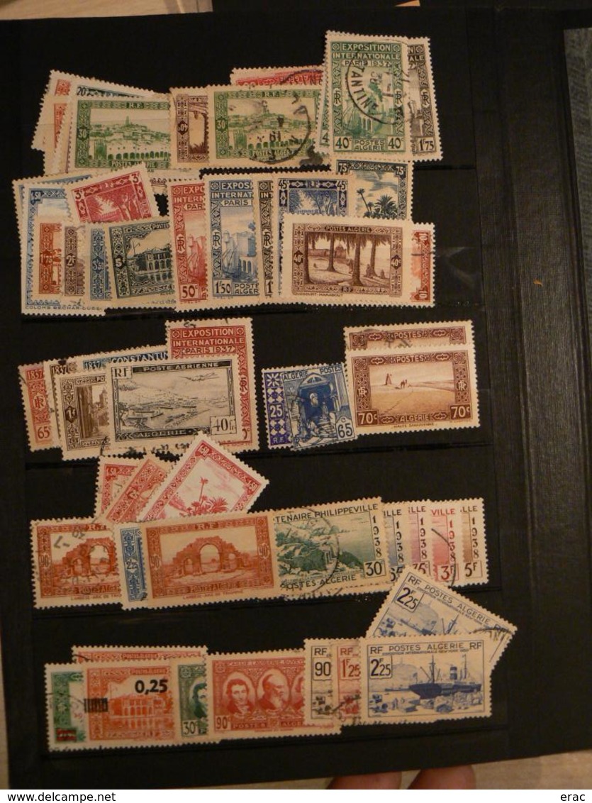 Tunisie et Algérie - Collection/stock timbres neufs ** (quelques oblitérés) - Cote +++