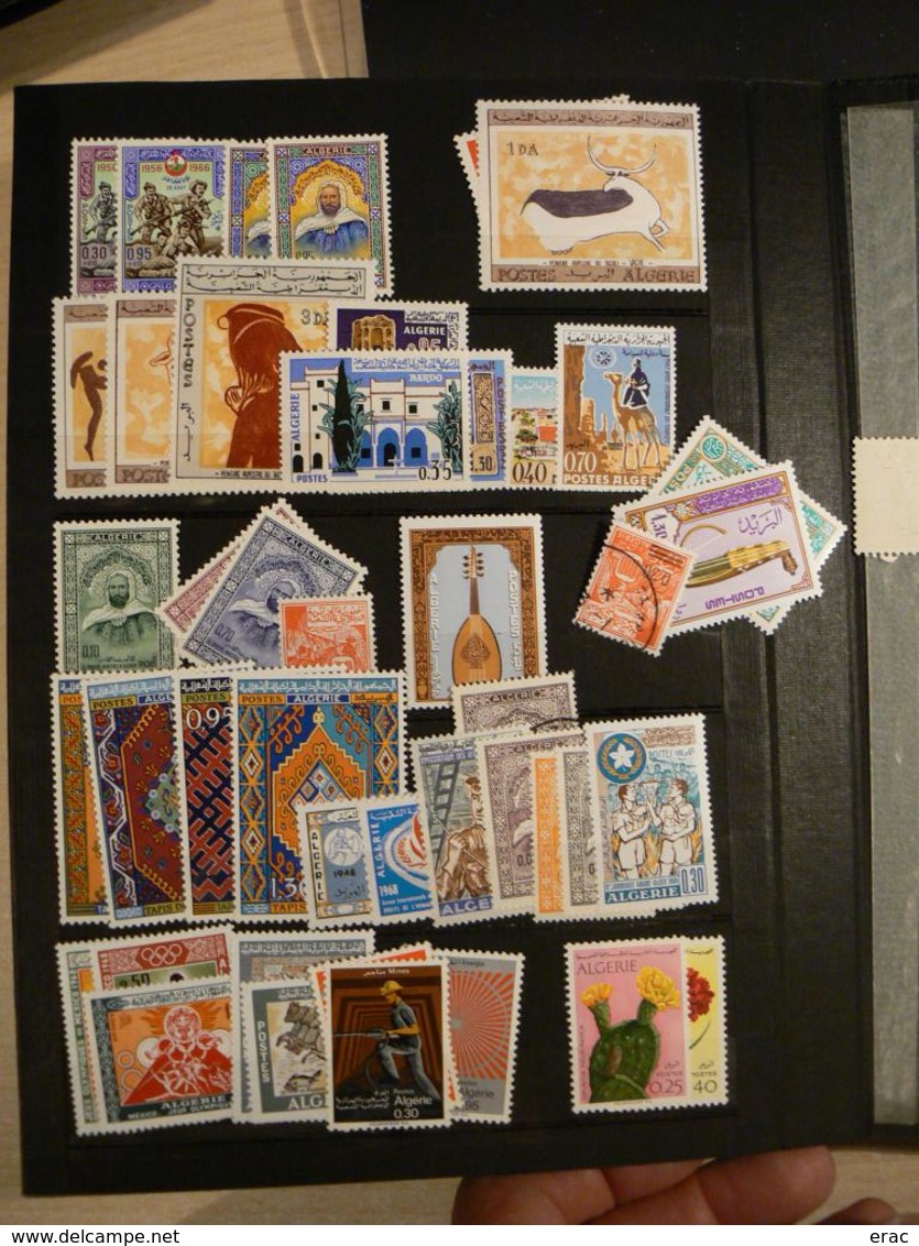 Tunisie et Algérie - Collection/stock timbres neufs ** (quelques oblitérés) - Cote +++