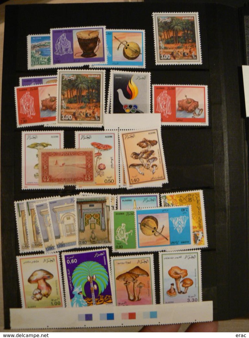 Tunisie et Algérie - Collection/stock timbres neufs ** (quelques oblitérés) - Cote +++