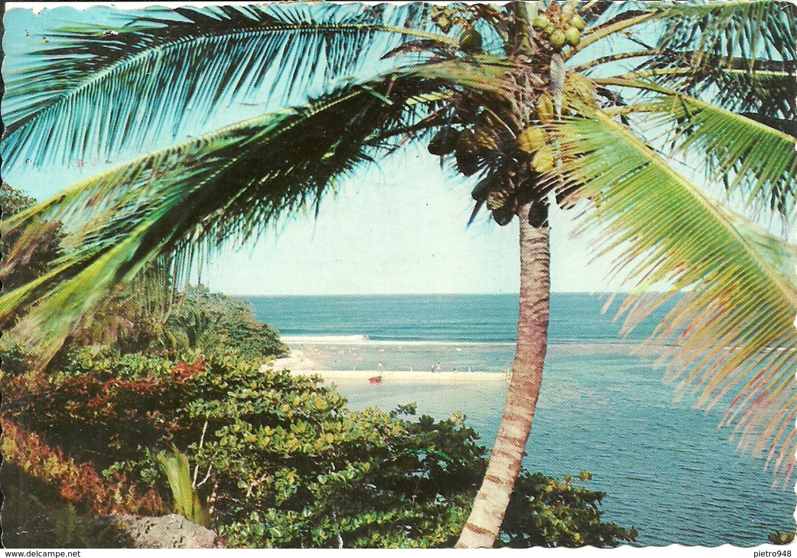 Guadeloupe (Antilles Francaises) Cote Antillaise, Tropical Splendor In The Caribbean, Spiaggie Tropicali Ai Caraibi - Altri & Non Classificati
