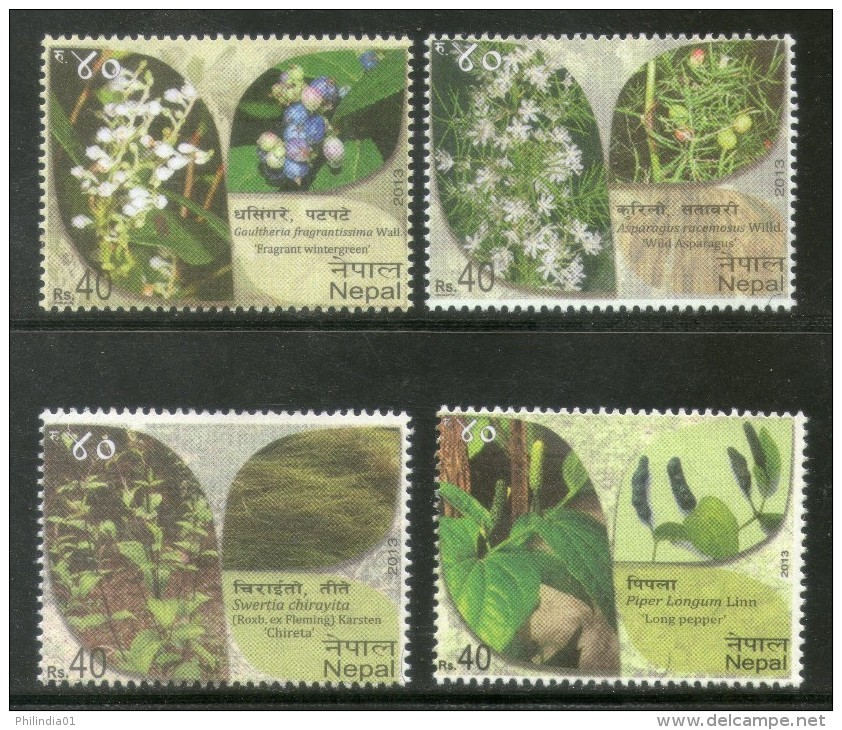 Nepal 2013 Herbal Medicinal Plants Health Tree Flowers Sc 936-39 4v MNH # 583 - Nepal