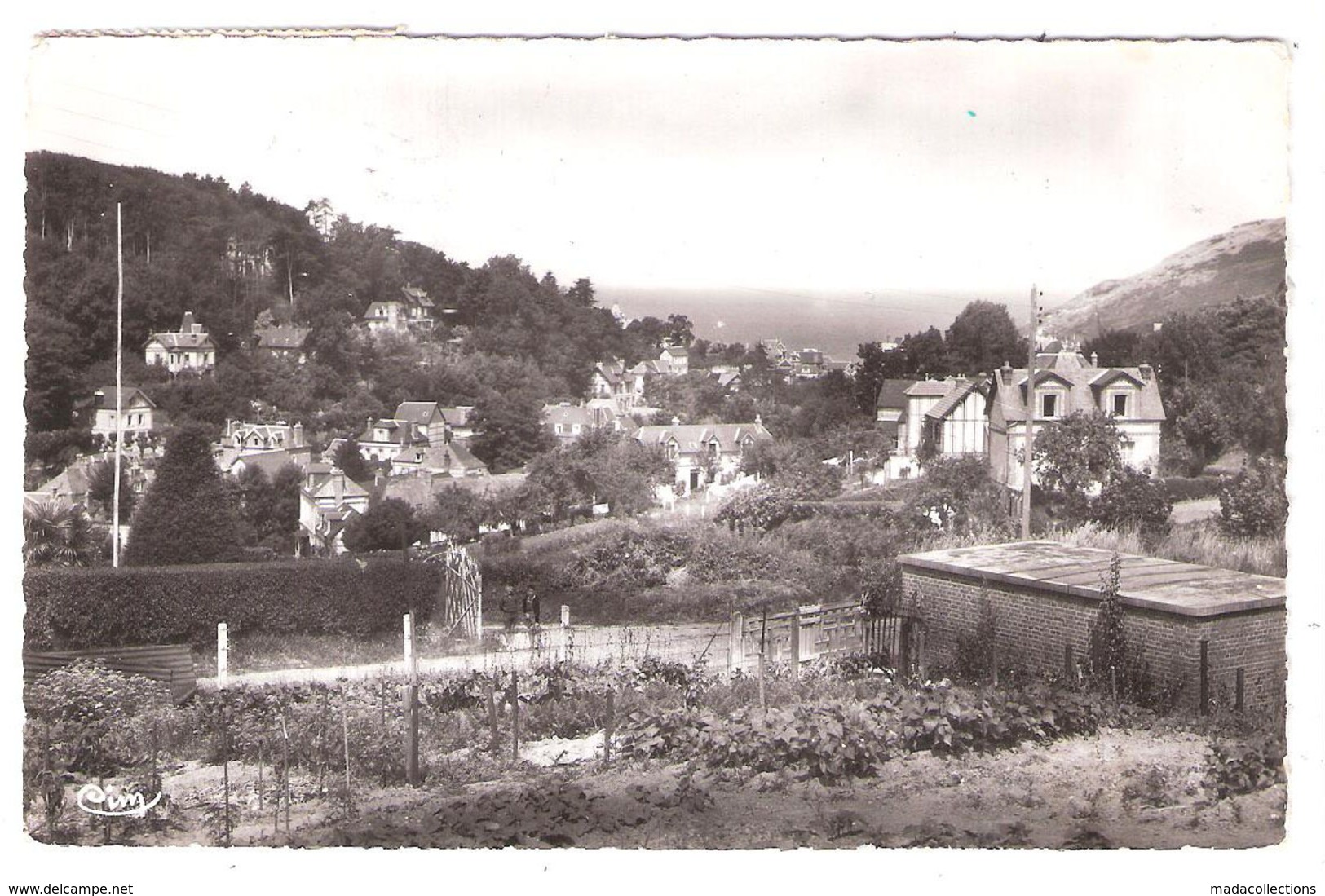 Les Peites Dalles (76 - Seine Maritime ) Vue Générale - Autres & Non Classés