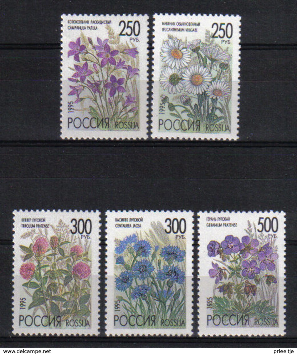 Russia 1995 Flowers  Y.T. 6122/6126 ** - Neufs