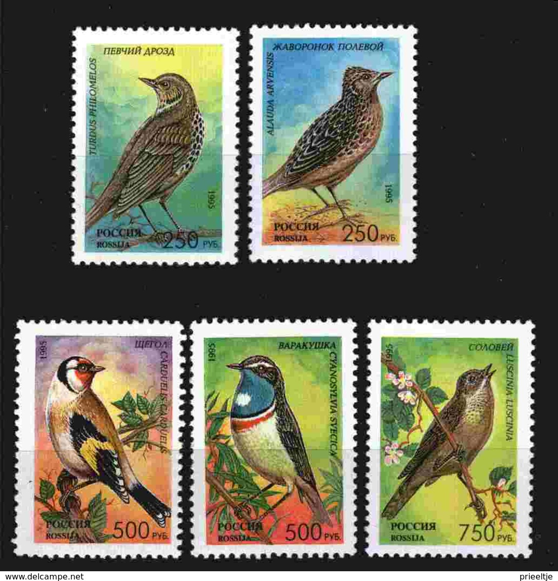 Russia 1995 Birds  Y.T. 6127/6131 ** - Neufs