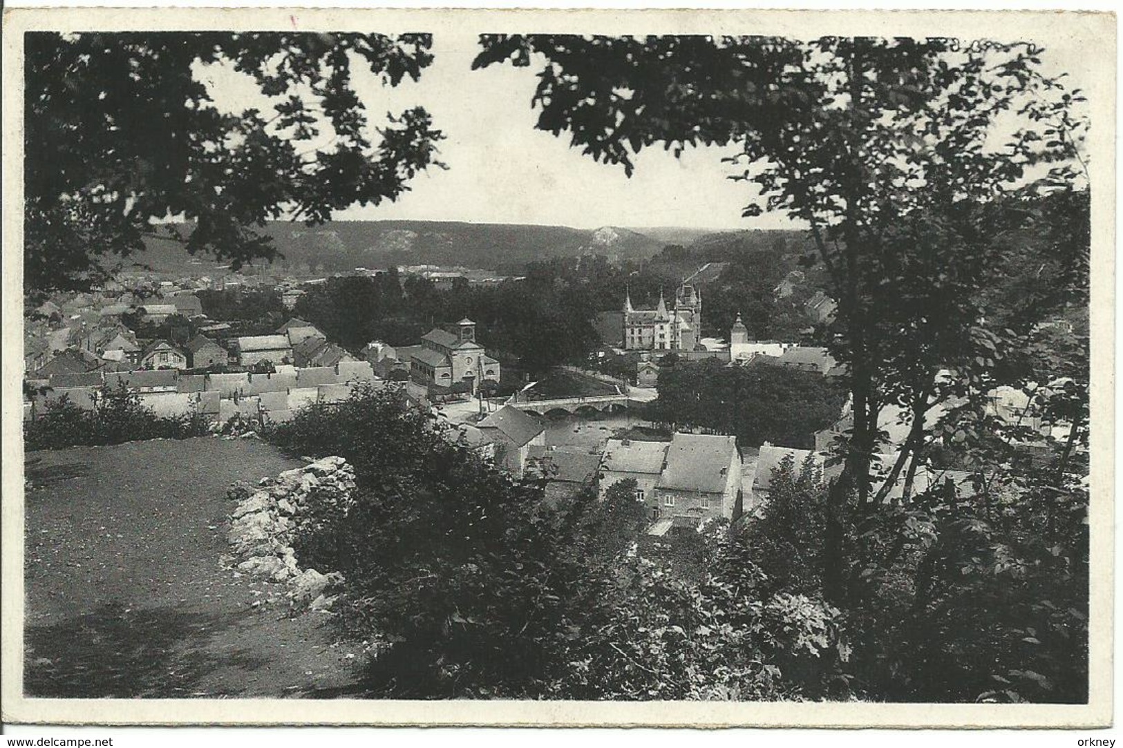 Nismes  Panorama Pris Du Point De Vue De La Promenade Matricolodans Le Fond La Montagne Aux Buis Et La Roche à L'homme - Viroinval