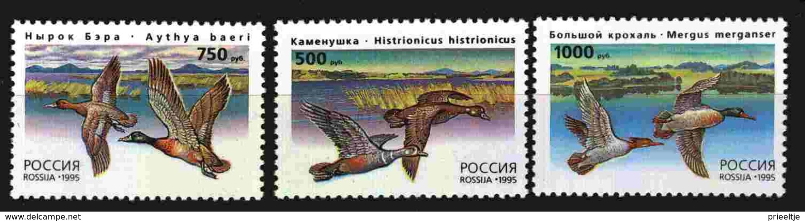 Russia 1995 Ducks   Y.T. 6147/6149 ** - Unused Stamps