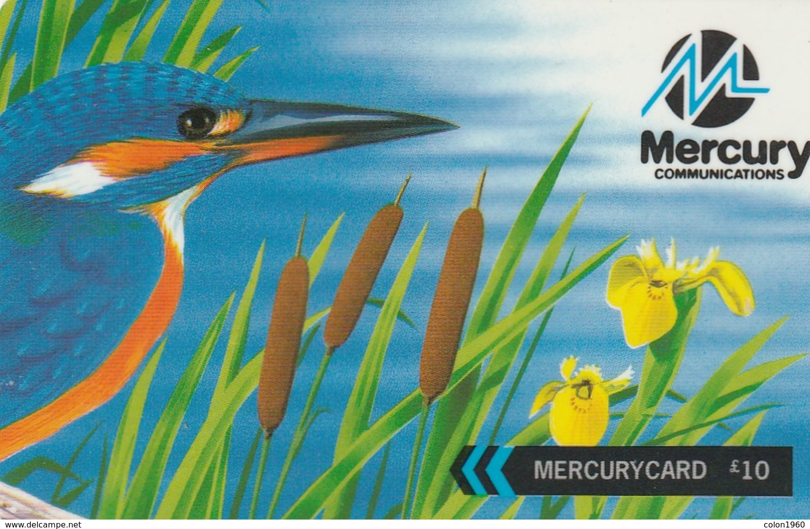 TARJETA TELEFONICA DE GRAN BRETAÑA, British Wildlife. Kingfisher (We Charge By The Penny) 48MERT. MER436D. (007) - [ 4] Mercury Communications & Paytelco