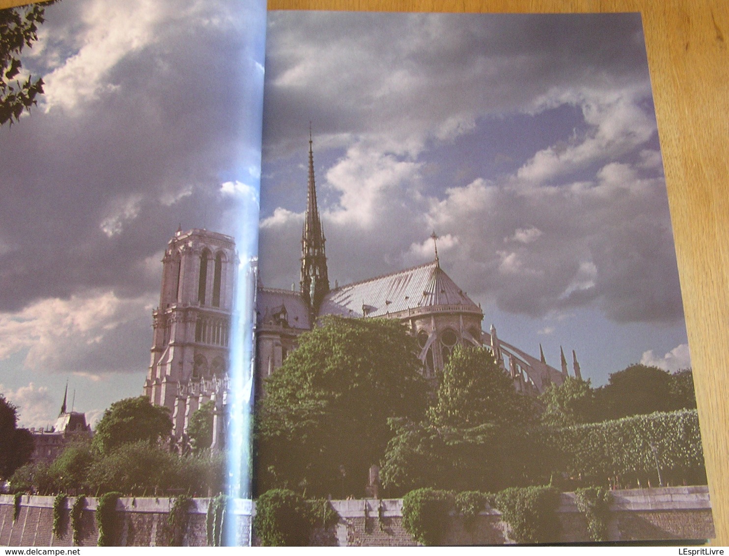 NOTRE-DAME DE PARIS Cathédrale Médiévale Régionalisme Architecture Viollet Le Duc Monument Religieux Culte Religion - Paris