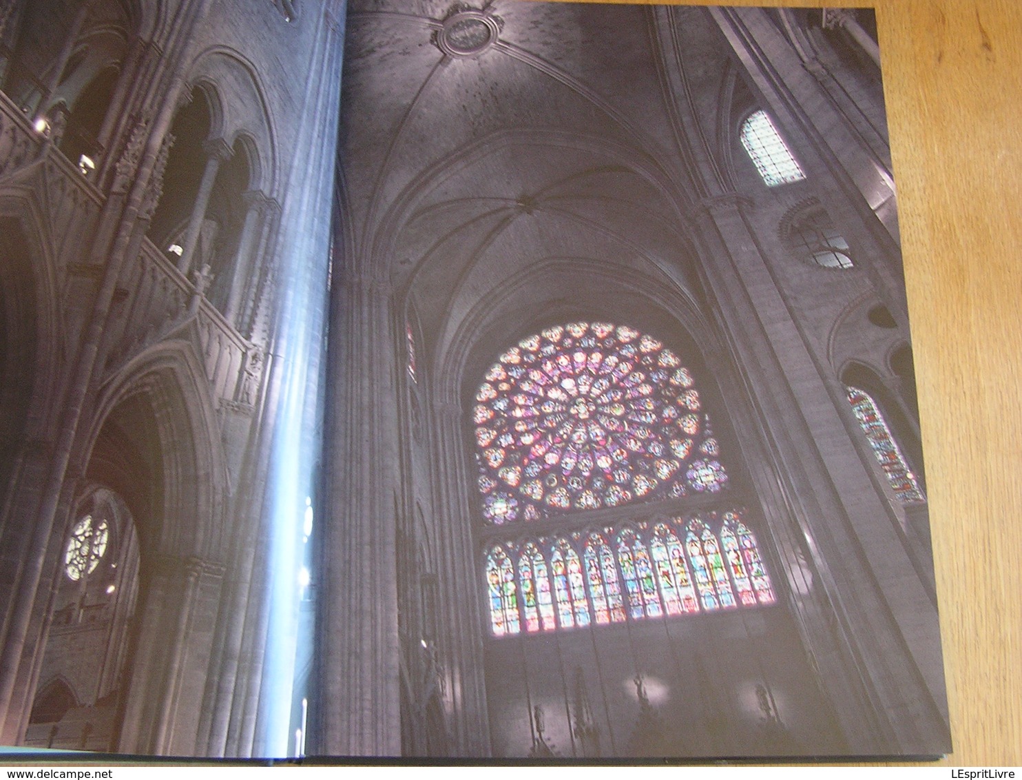 NOTRE-DAME DE PARIS Cathédrale Médiévale Régionalisme Architecture Viollet Le Duc Monument Religieux Culte Religion - Paris