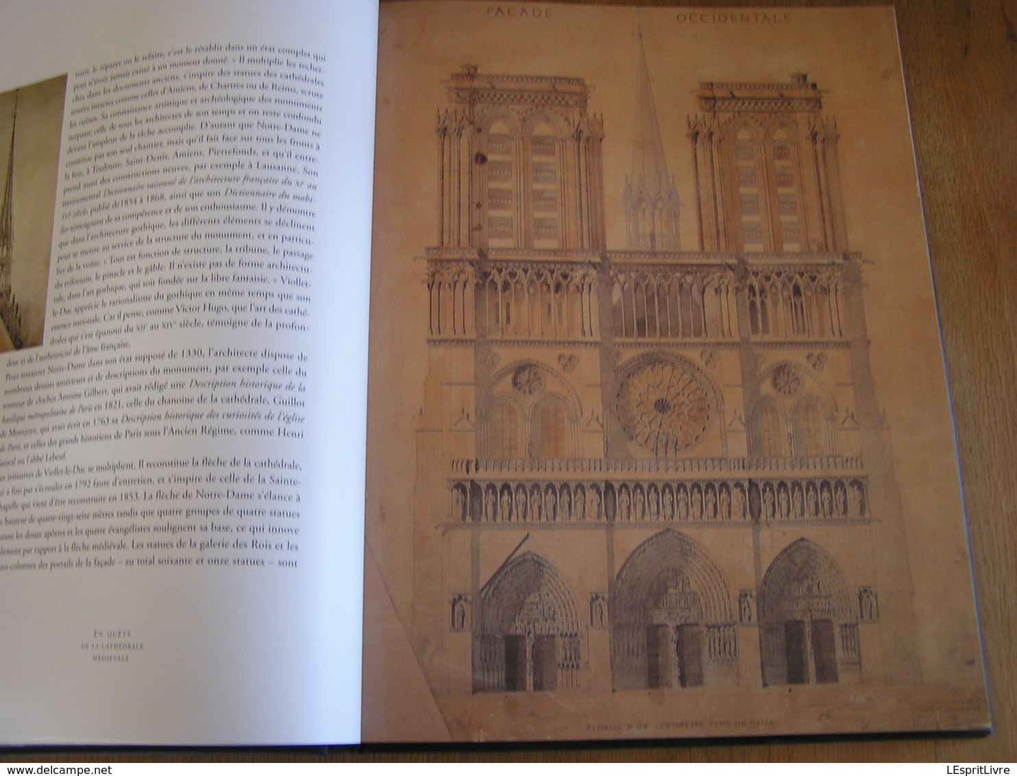 NOTRE-DAME DE PARIS Cathédrale Médiévale Régionalisme Architecture Viollet Le Duc Monument Religieux Culte Religion