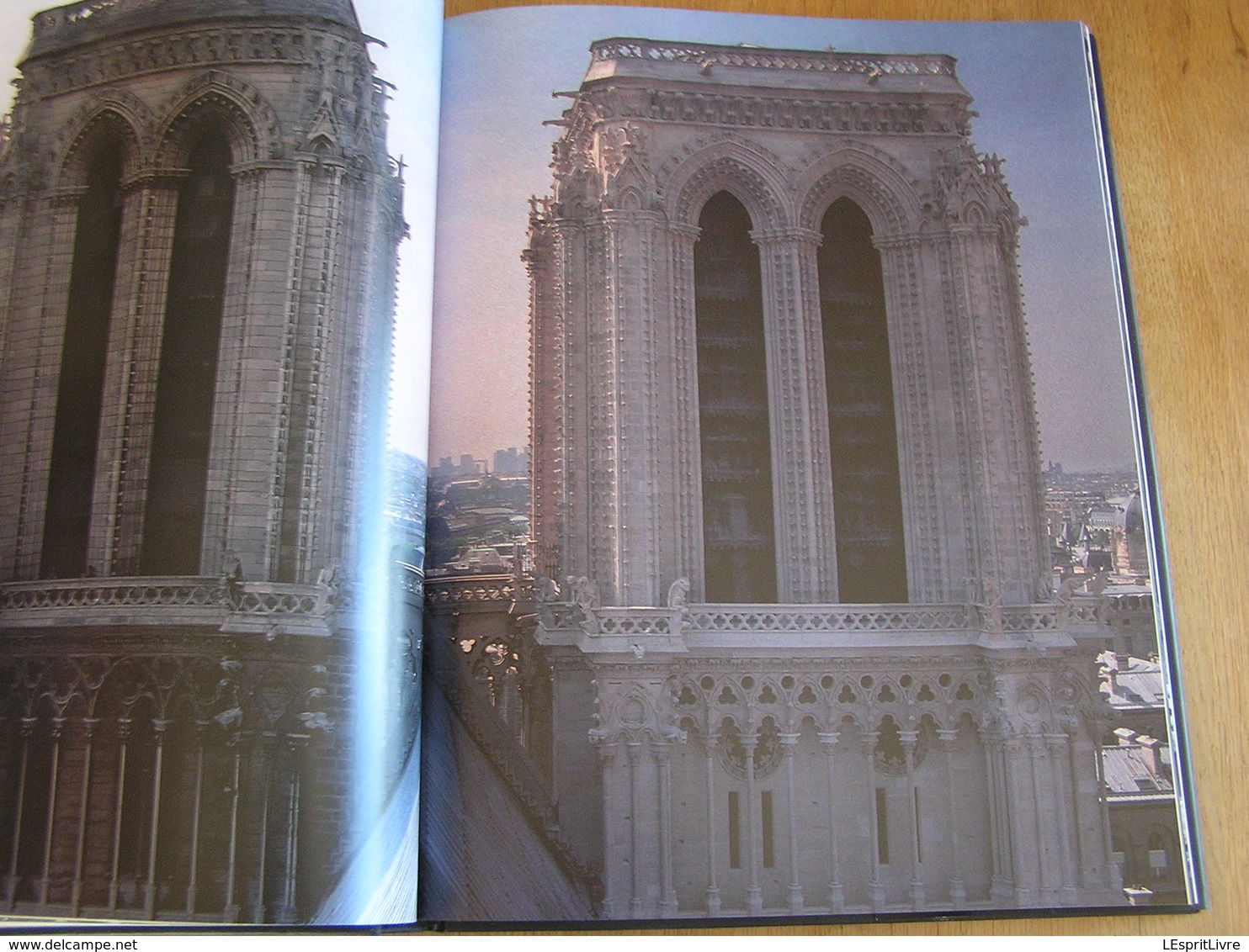 NOTRE-DAME DE PARIS Cathédrale Médiévale Régionalisme Architecture Viollet Le Duc Monument Religieux Culte Religion