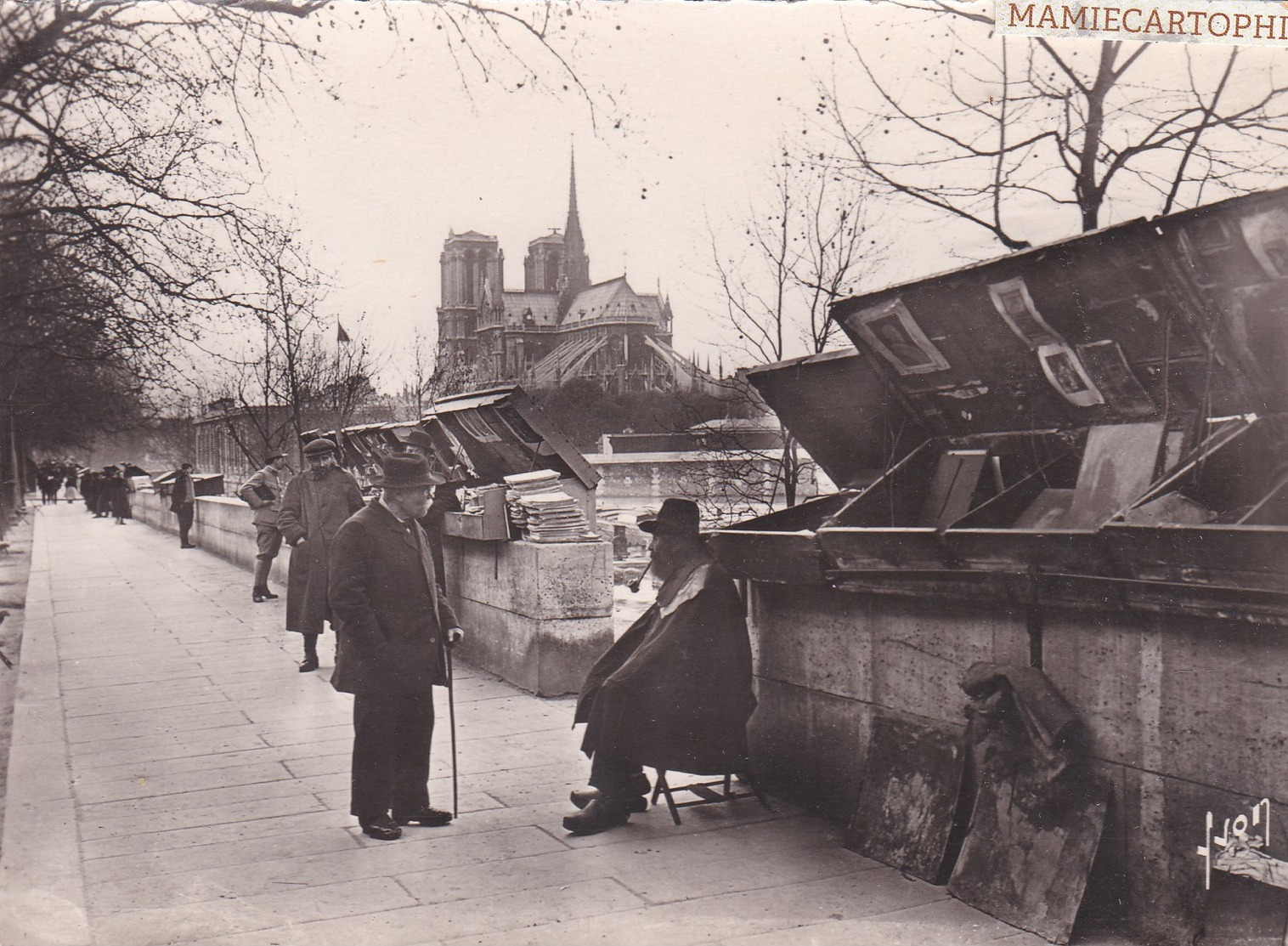 PARIS -  La Cathédrale Notre-Dame - Les "bouquinistes" Du Quai De La Tournelle - Notre Dame De Paris