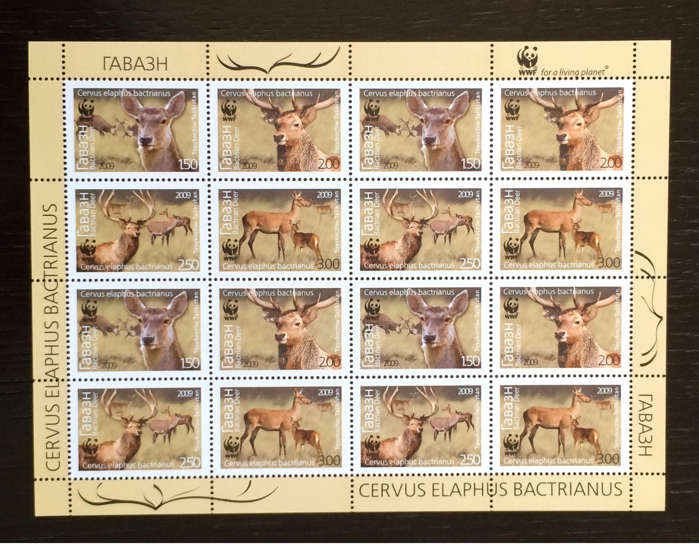 Tajikistan 2009; WWF Fauna Wildlife Animals Deers; MNH VF** Scarce Full Sheet! - Tajikistan