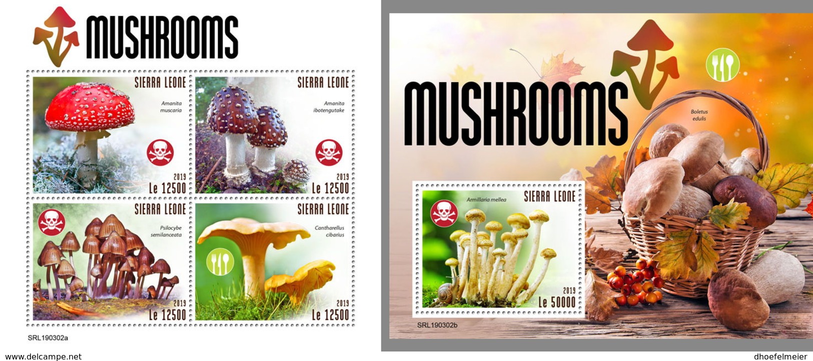 SIERRA LEONE 2019 MNH Mushrooms Pilze Champignons M/S+S/S - OFFICIAL ISSUE - DH1916 - Funghi