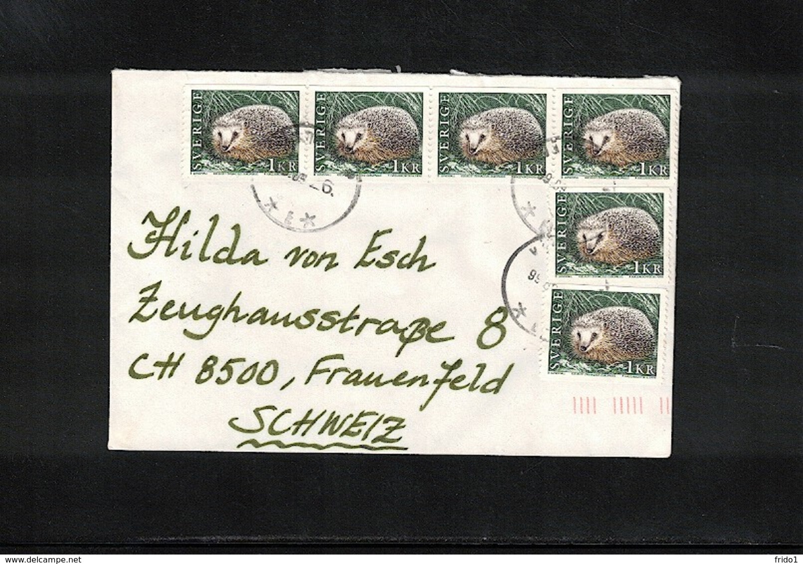 Sweden Hedgehog Interesting Letter - Sonstige & Ohne Zuordnung