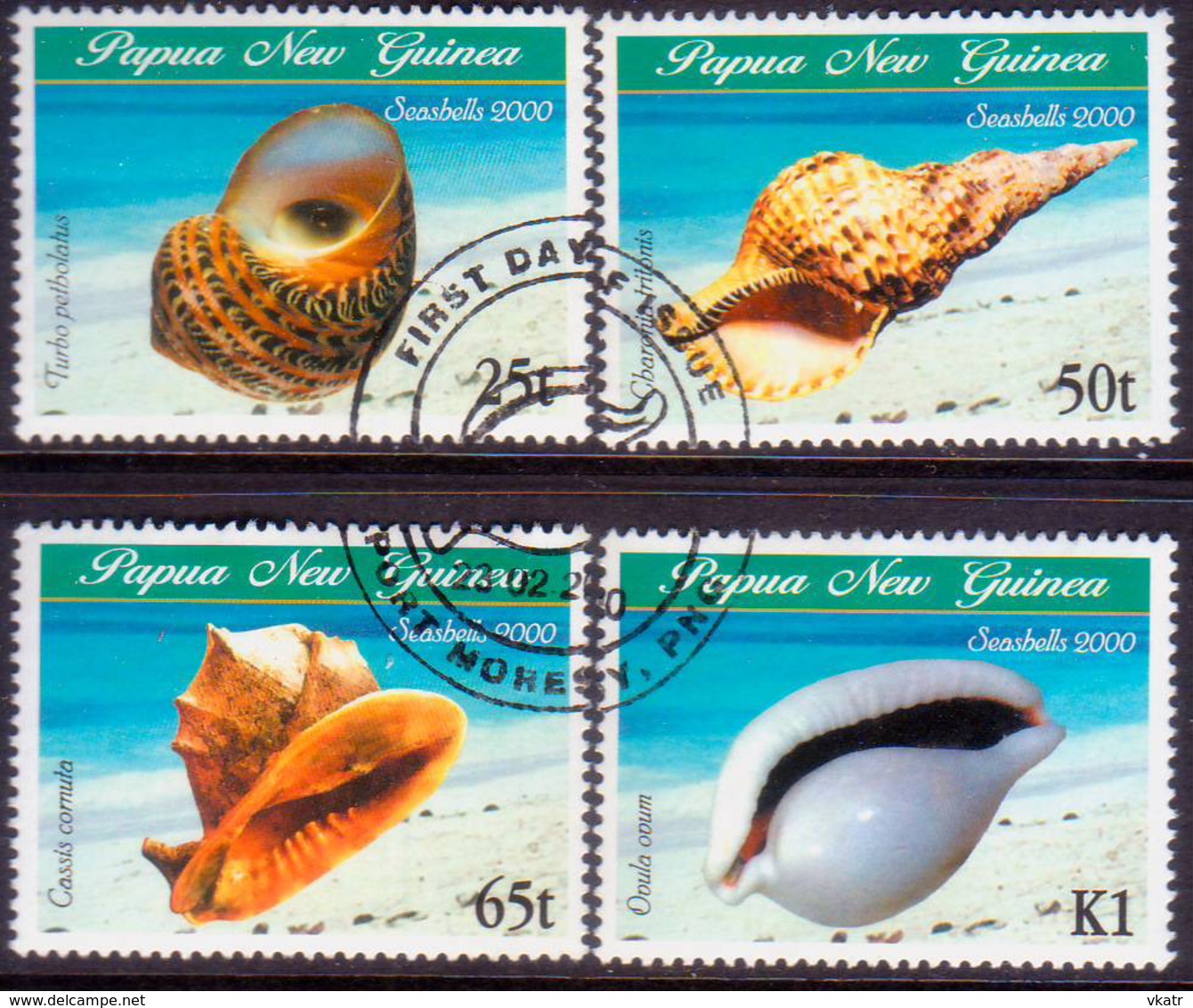 PAPUA NEW GUINEA 2000 SG #873-76 Compl.set Used Sea Shells - Papua New Guinea