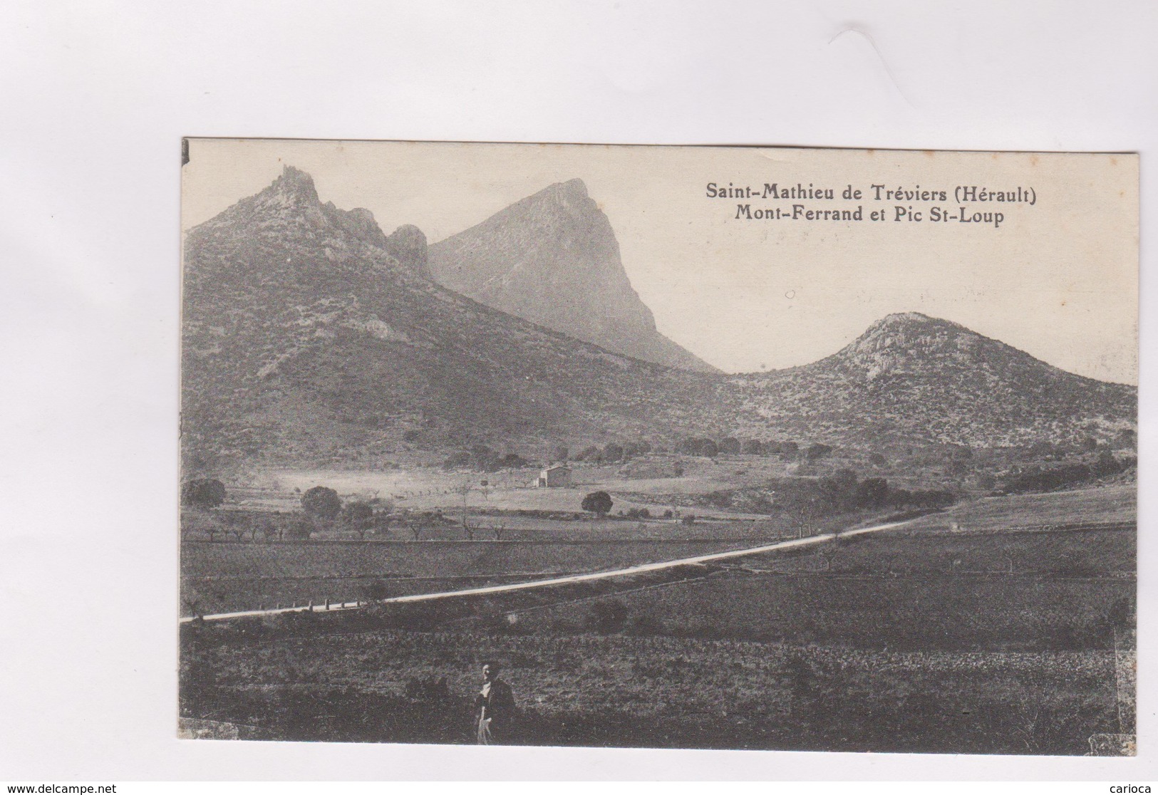 CPA DPT 34 ST MATHIEU DE TREVIERS, MONT FERRAND ET PIC ST LOUP En 1913! - Autres & Non Classés