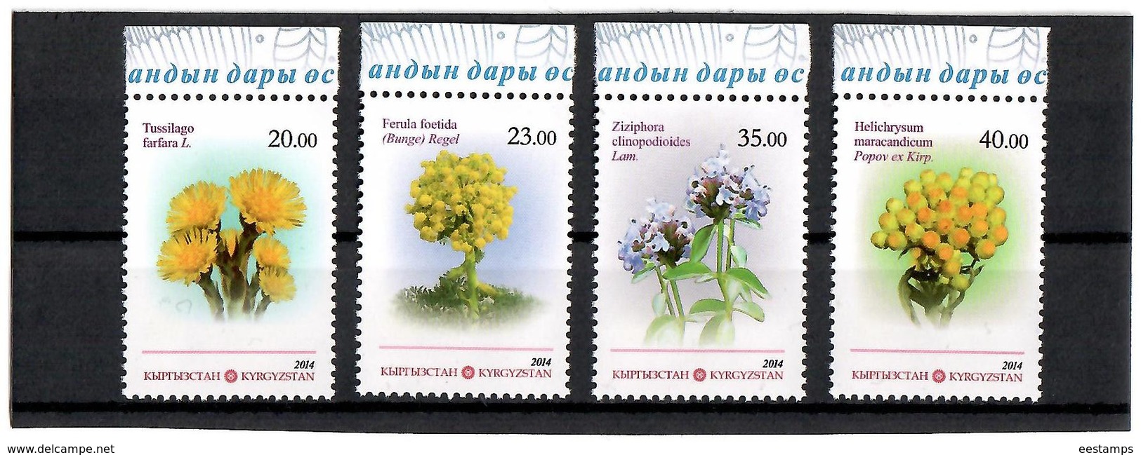 Kyrgyzstan.2014 Medicinal Plants. 4v: 20, 23, 35, 40 Michel # 781-84 - Kirgisistan