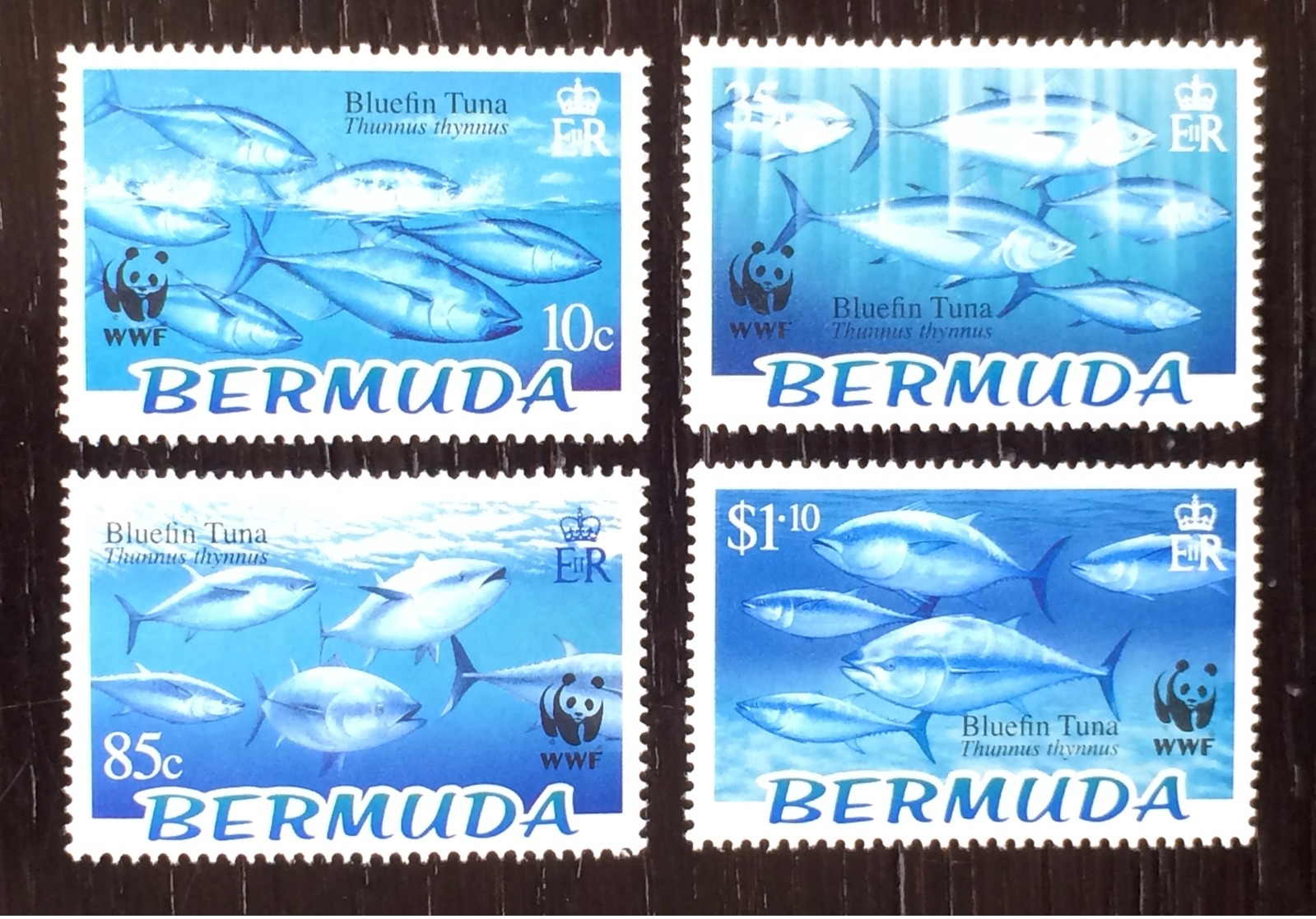 Bermuda 2004; WWF Marine Fauna Fishes; MNH VF** - Poissons