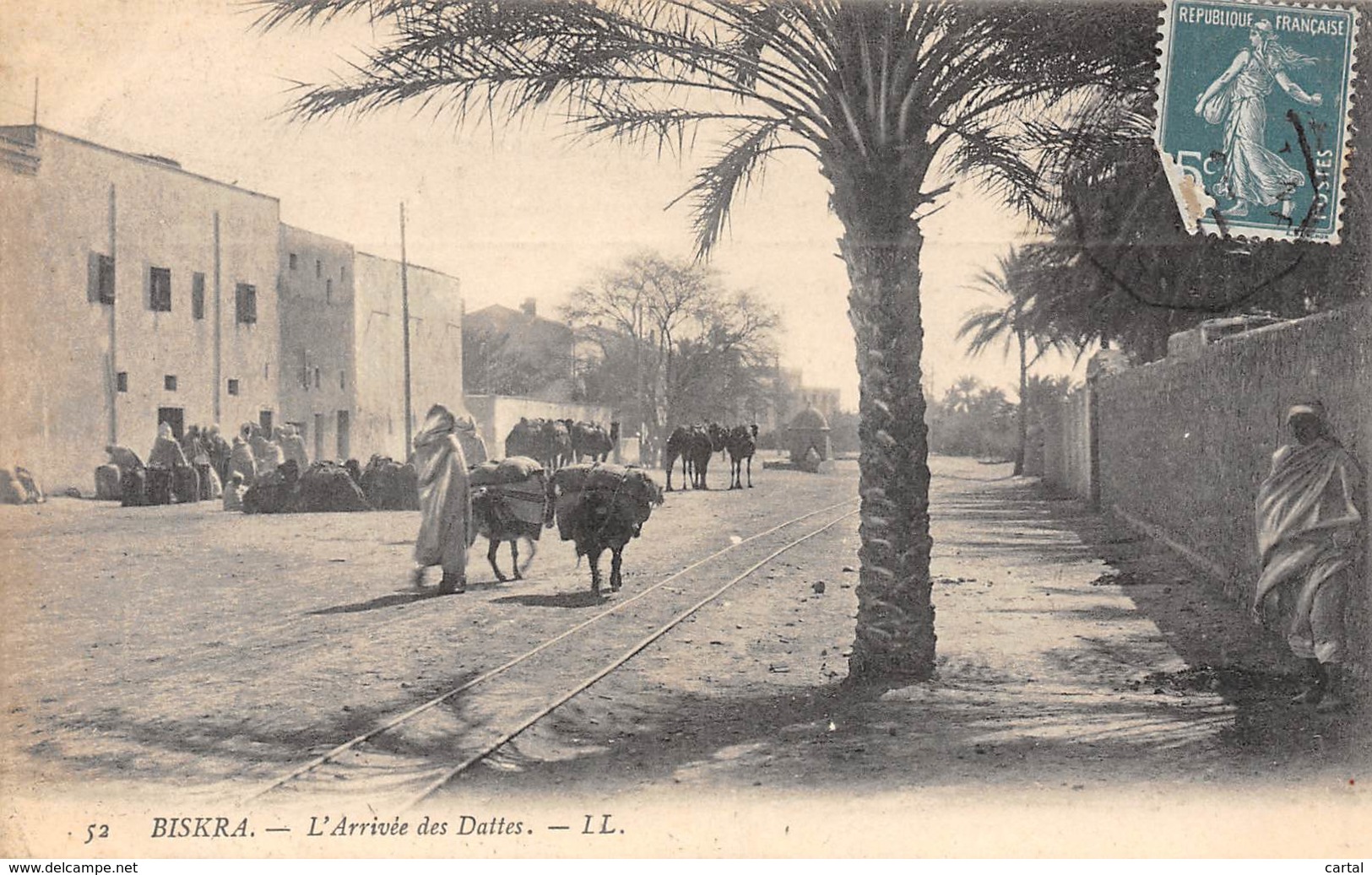 BISKRA - L'Arrivée Des Dattes - Biskra