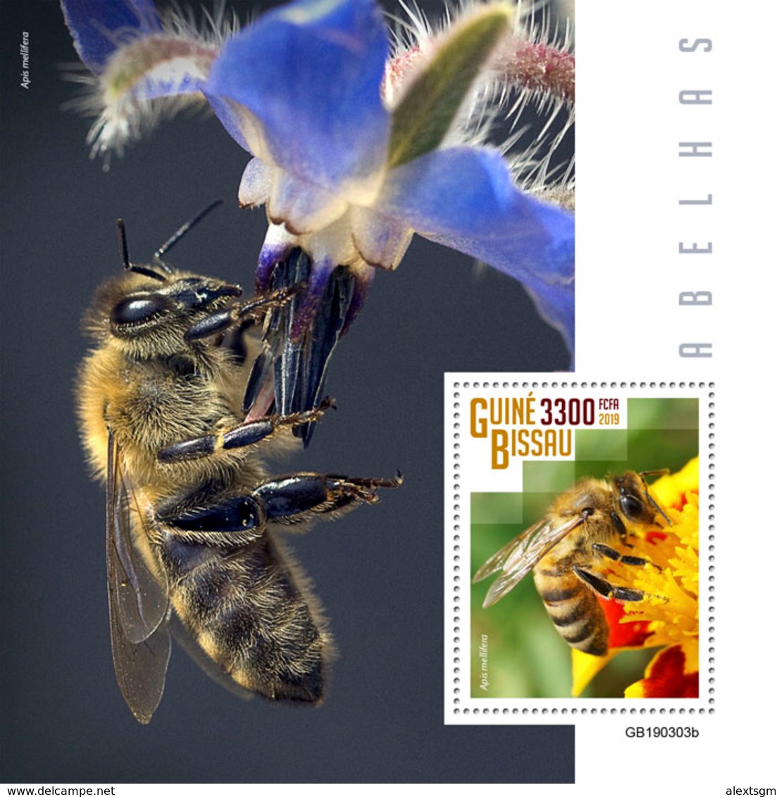 GUINEA BISSAU 2019 - Bees S/S. Official Issue - Honeybees
