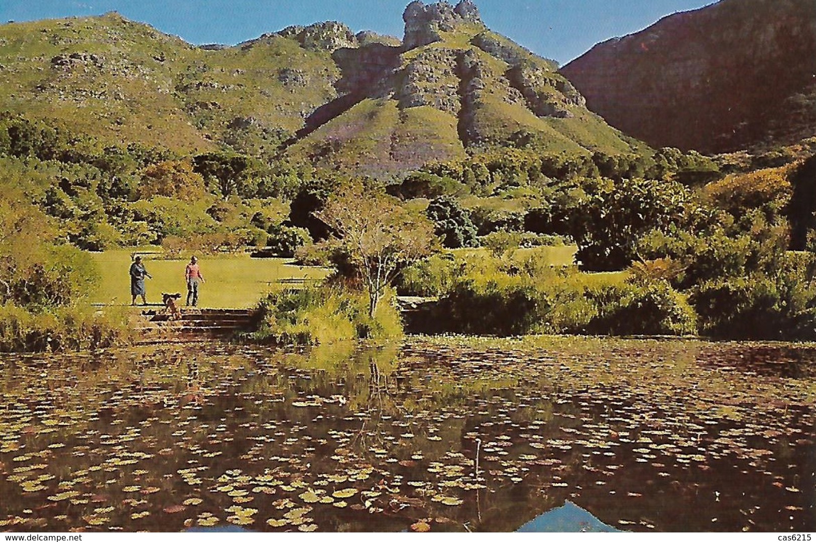 Afrique Du Sud South Africa  Castle Rock - Afrique Du Sud