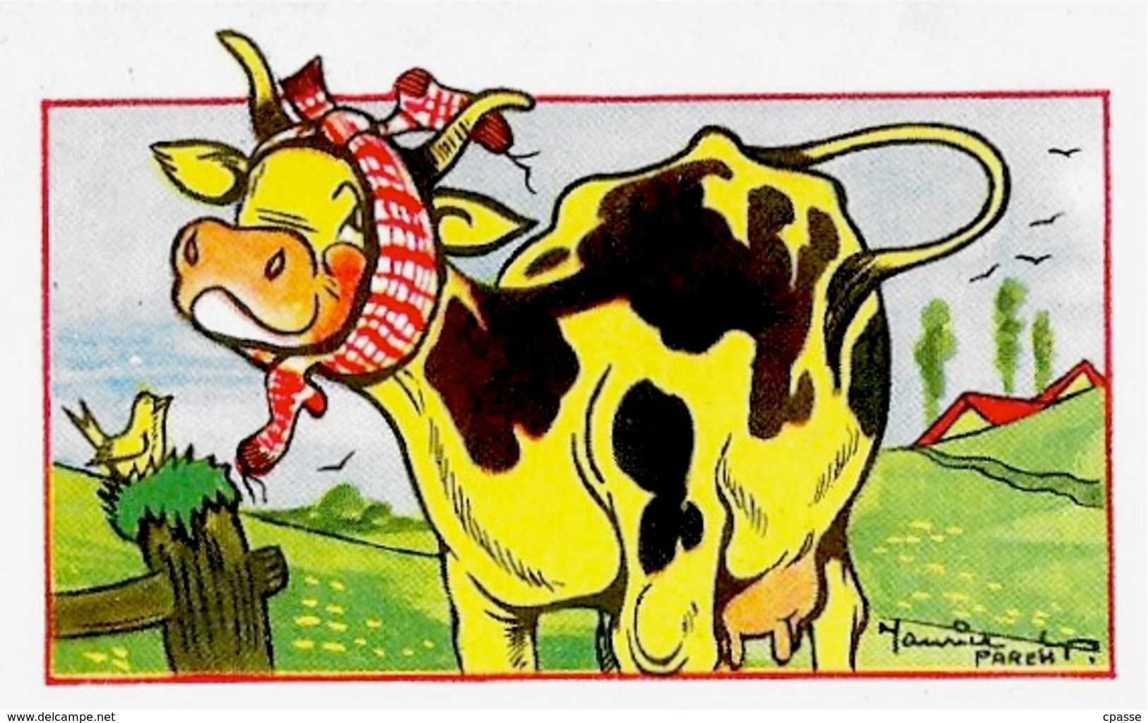 Papier à Lettre "Chaussettes DD" Vache Par Maurice Parent Illustrateur - Publicités