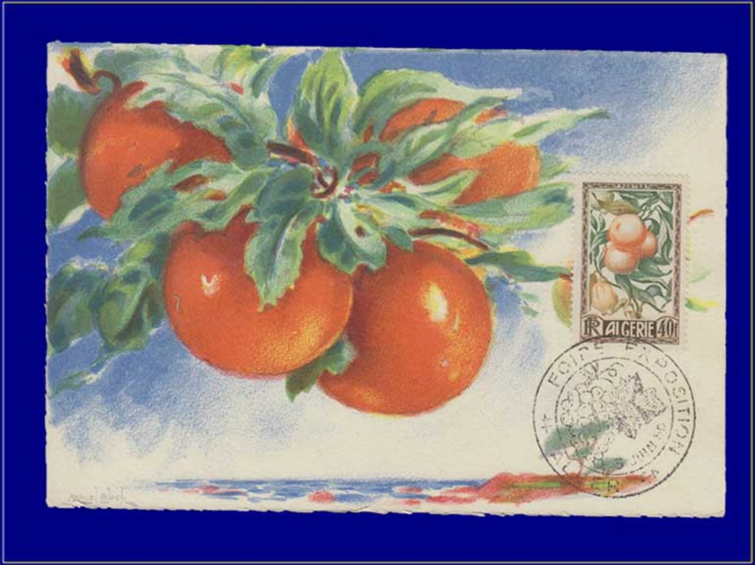 Algérie, Carte Maximum, Fruits : Orange - Cartes-maximum