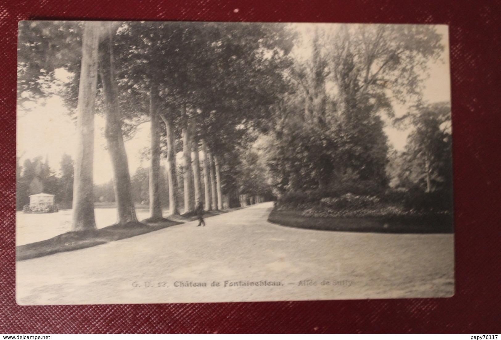 CPA  77  CHATEAU DE FONTAINEBLEAU   ALLEE DE SULLY - Fontainebleau