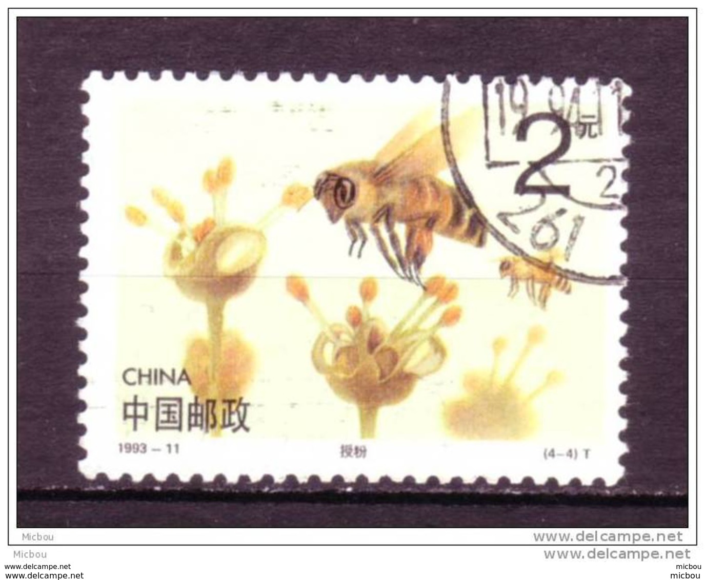 Chine, China, Abeille, Bee, Fleur, Flower - Abeilles