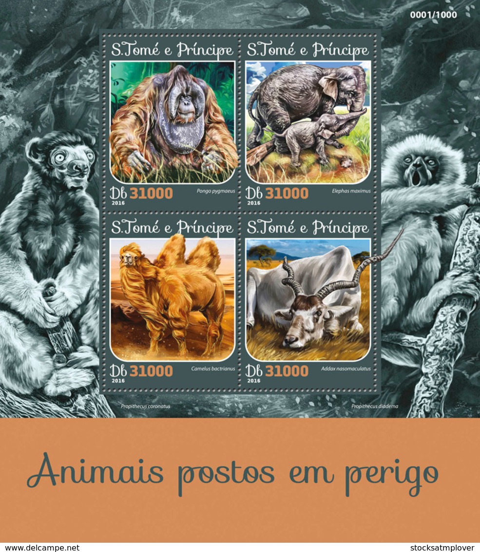 Sao Tome 2016  Fauna  Endangered Animals ,elephants, Orangutan - Sao Tome And Principe